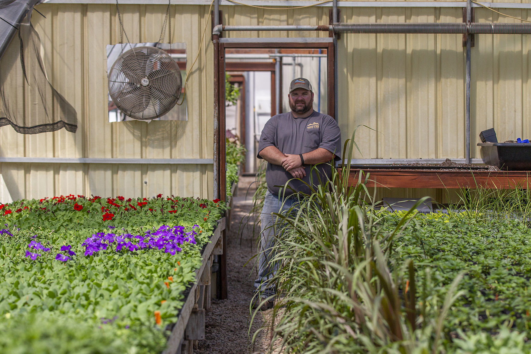 City Greenhouse